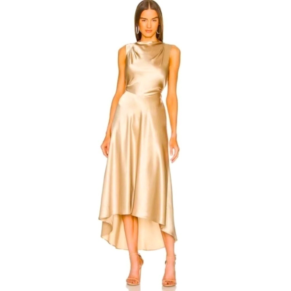 SALONI Jen Dress Champagne
